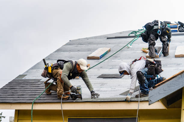 Professional Roof Repair technician working in Stevens, PA